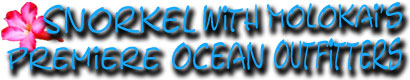 snorkel with molokai's premiere ocean outfitters